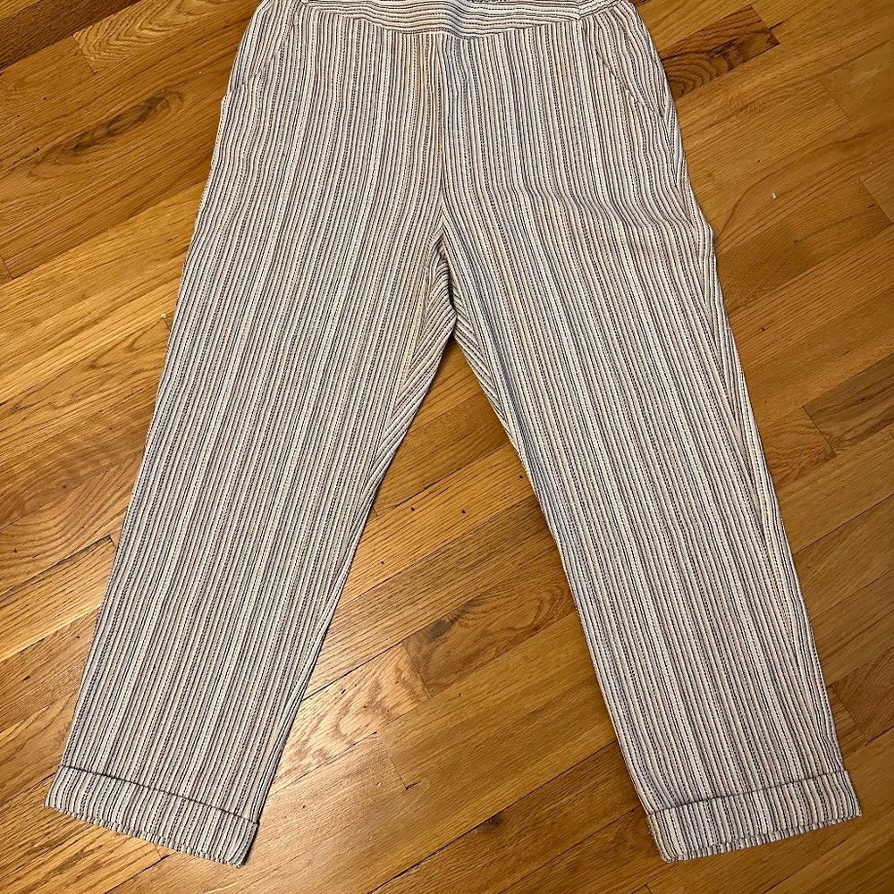 Womens Sienna Sky Cropped Trousers Large